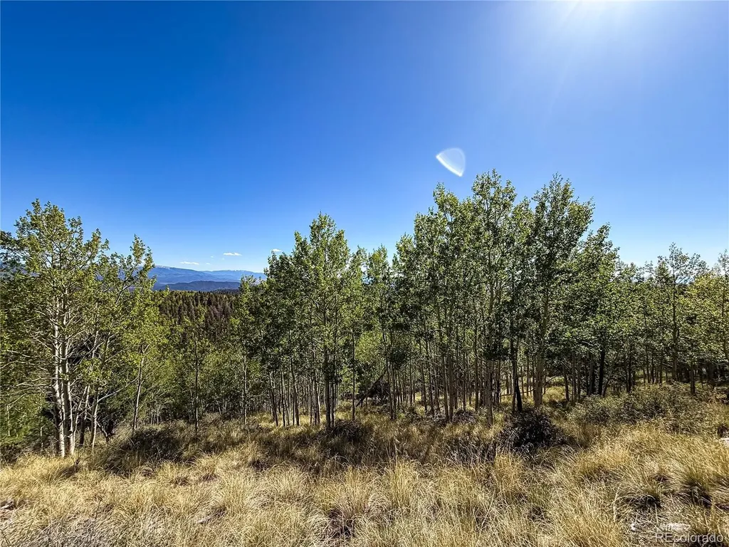 Lot 6829 Ryland Road Fort Garland CO 81133