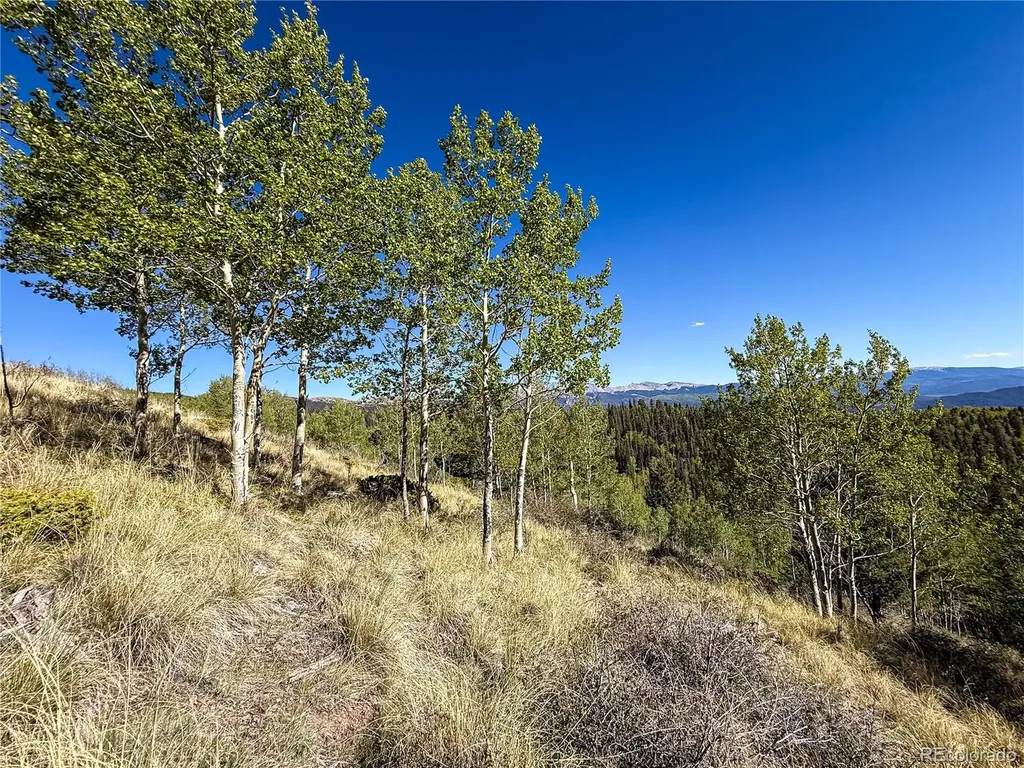 Lot 6829 Ryland Road Fort Garland CO 81133