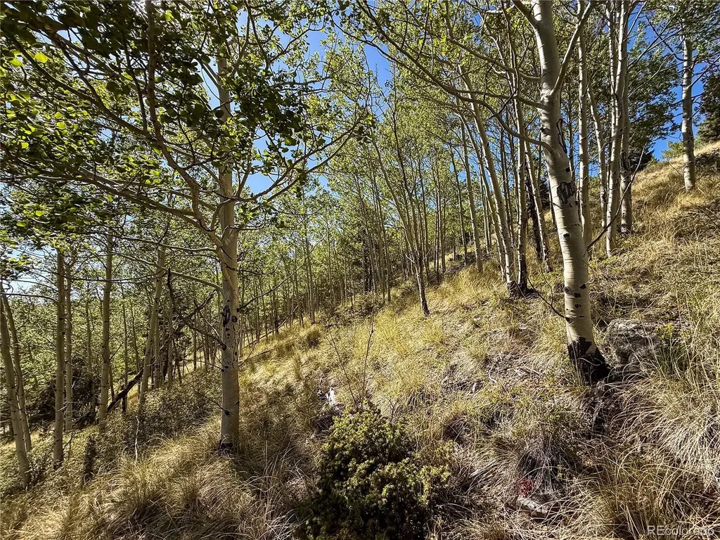 Lot 6829 Ryland Road Fort Garland CO 81133
