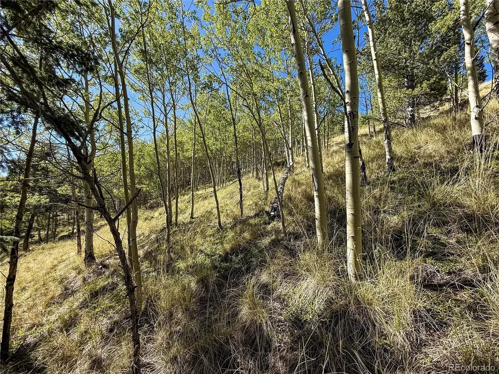 Lot 6829 Ryland Road Fort Garland CO 81133