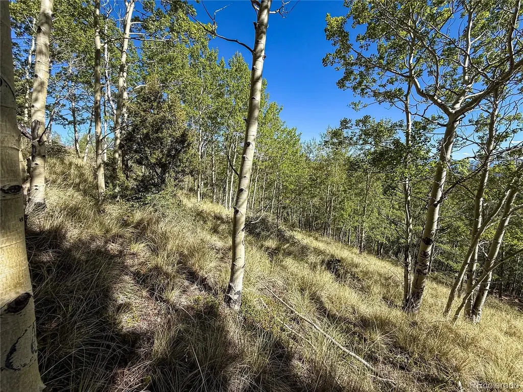 Lot 6829 Ryland Road Fort Garland CO 81133