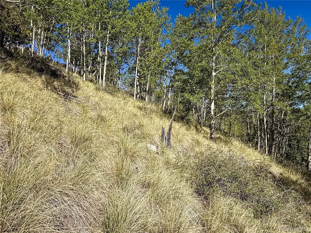 Lot 6829 Ryland Road Fort Garland CO 81133