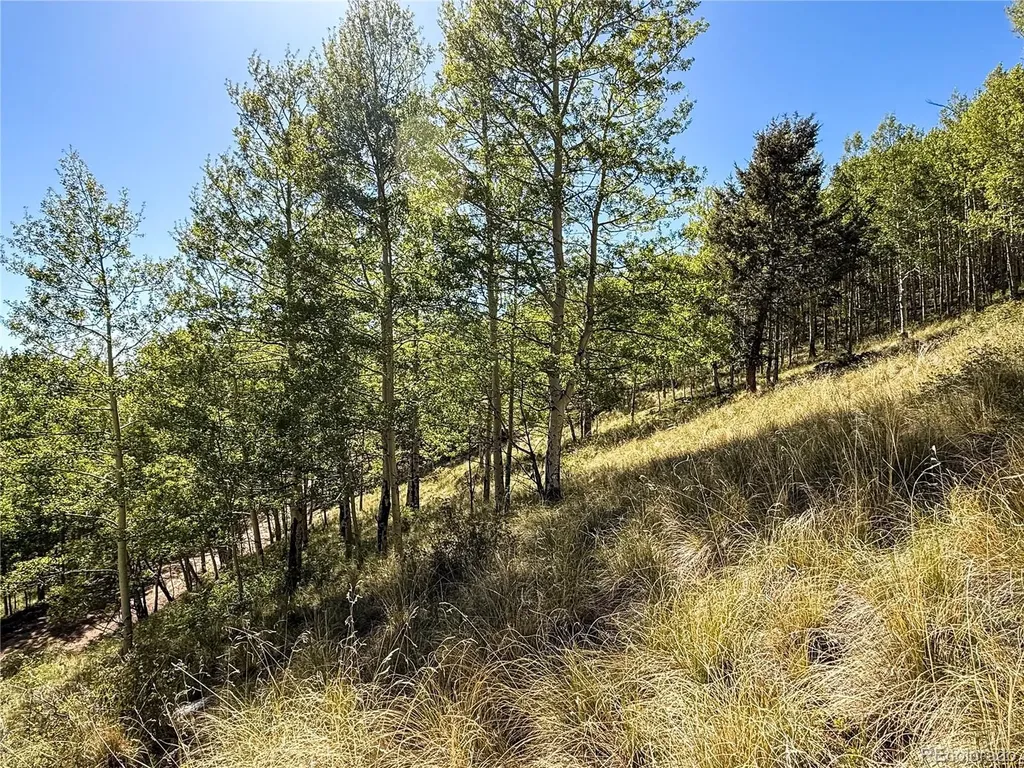 Lot 6829 Ryland Road Fort Garland CO 81133
