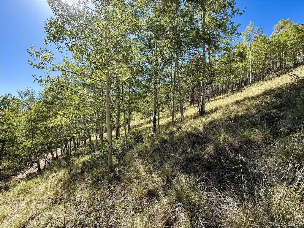 Lot 6829 Ryland Road Fort Garland CO 81133