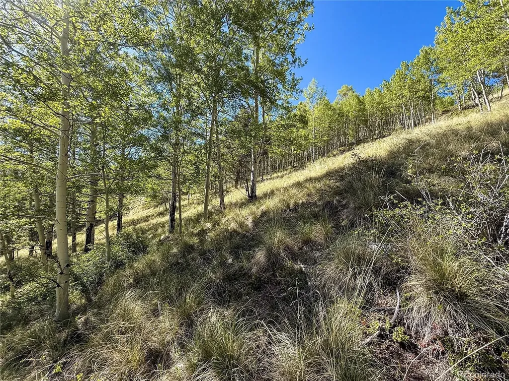 Lot 6829 Ryland Road Fort Garland CO 81133