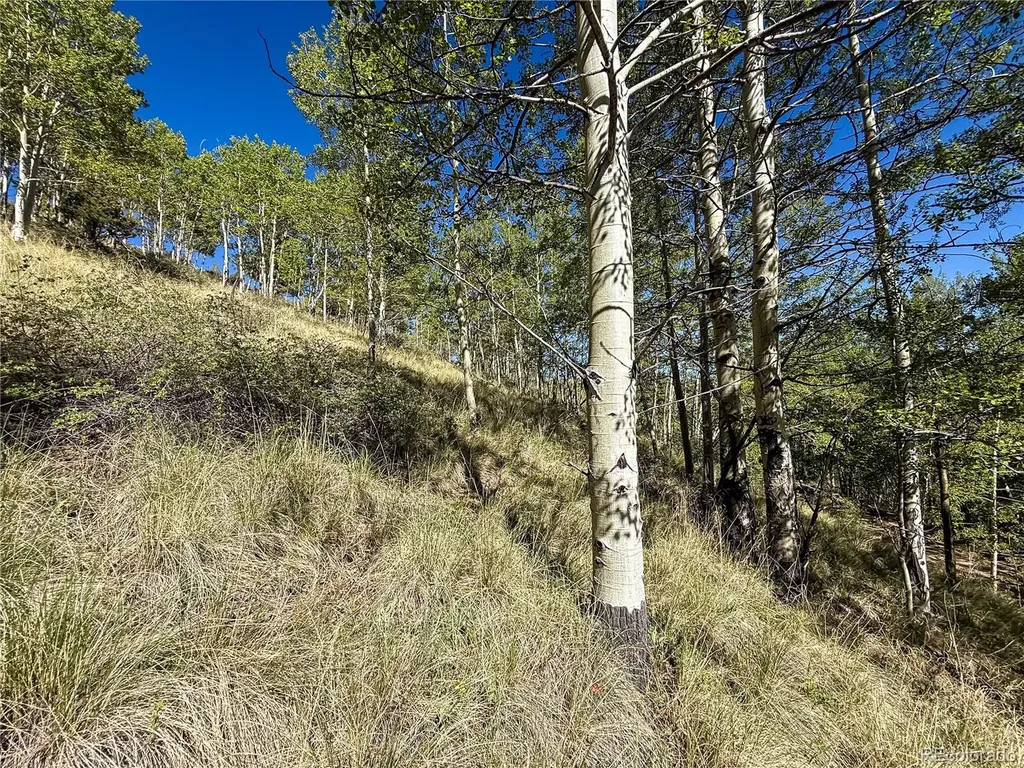 Lot 6829 Ryland Road Fort Garland CO 81133