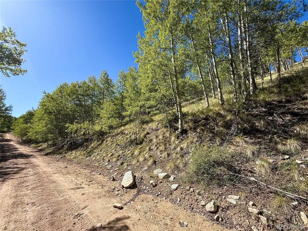 Lot 6829 Ryland Road Fort Garland CO 81133