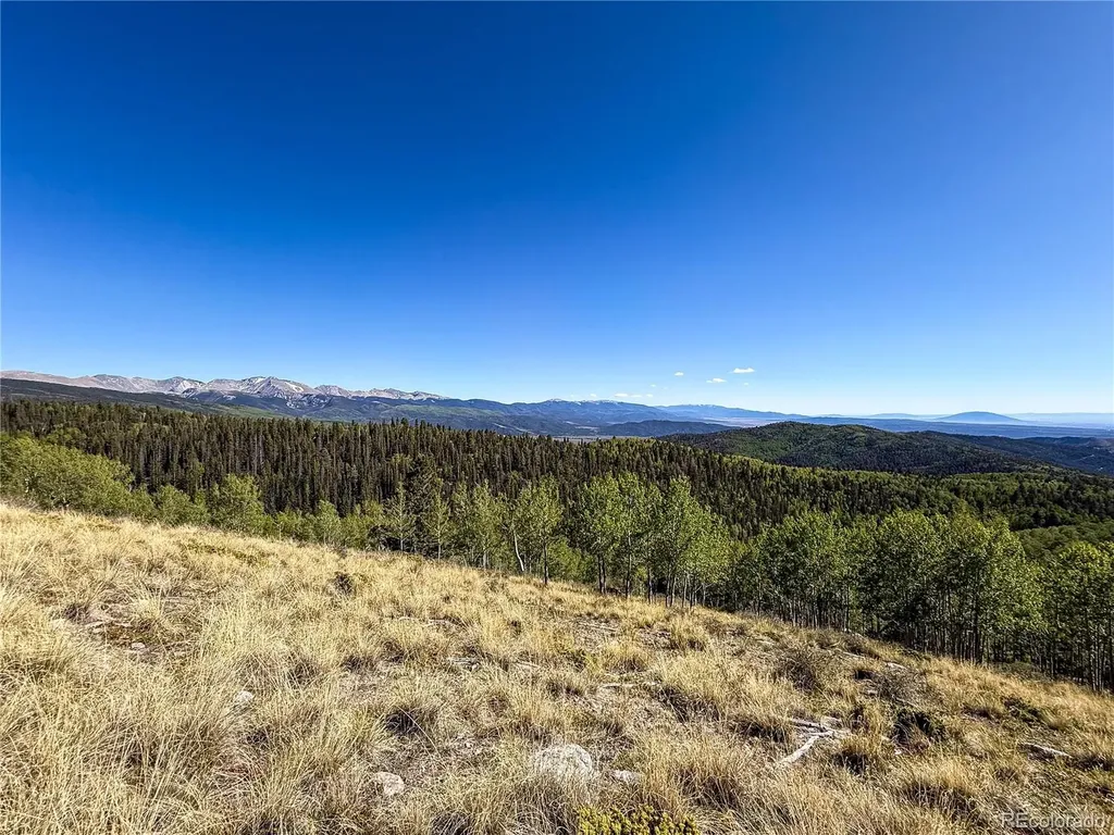 Lot 6829 Ryland Road Fort Garland CO 81133