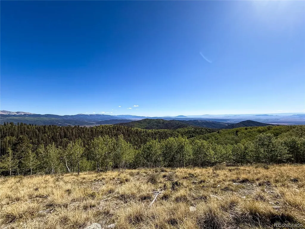 Lot 6829 Ryland Road Fort Garland CO 81133