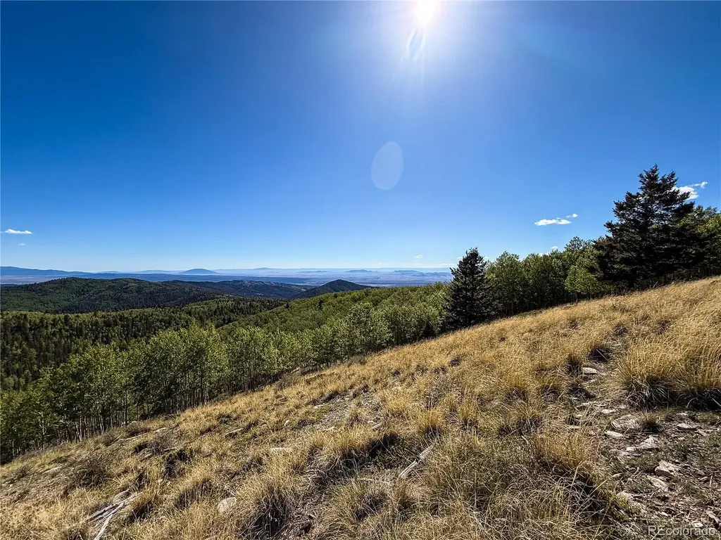 Lot 6829 Ryland Road Fort Garland CO 81133