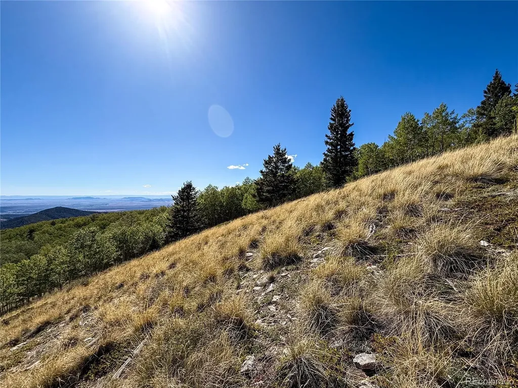 Lot 6829 Ryland Road Fort Garland CO 81133