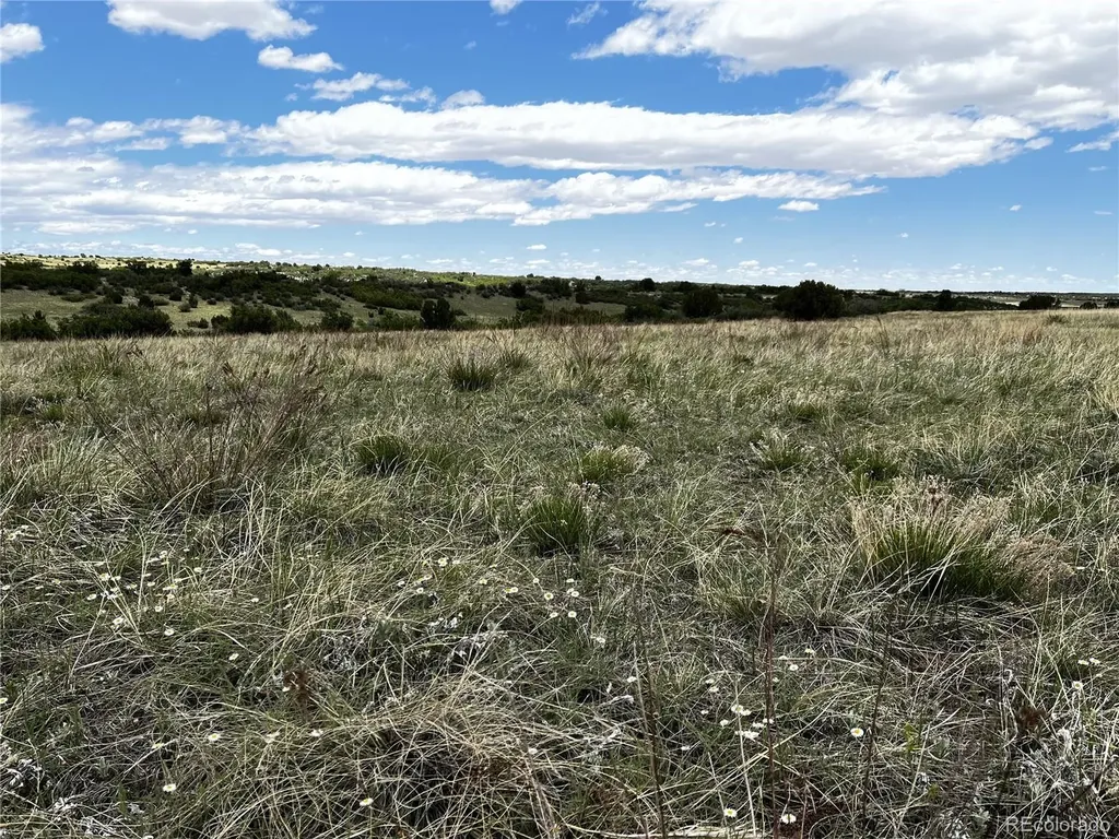 Lot 142 Fort Gerry Drive Colorado City CO 81019