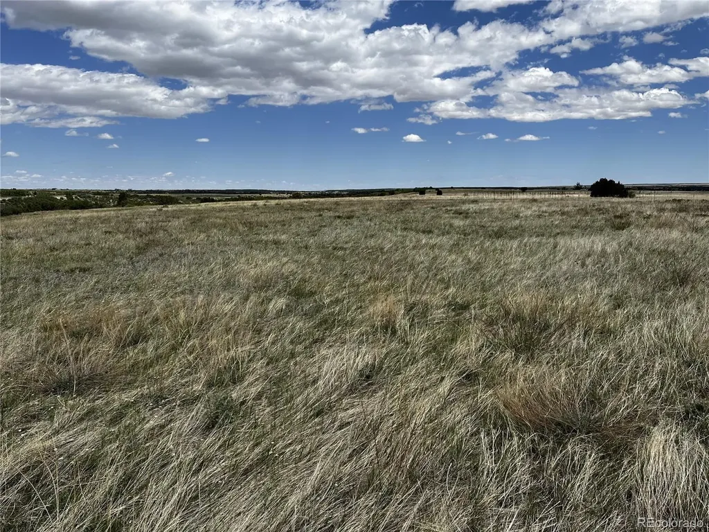 Lot 142 Fort Gerry Drive Colorado City CO 81019