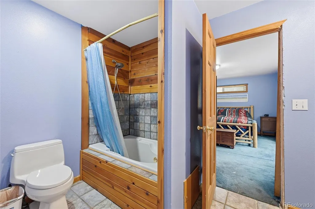 1419 Little Bear Creek Road Idaho Springs CO 80452