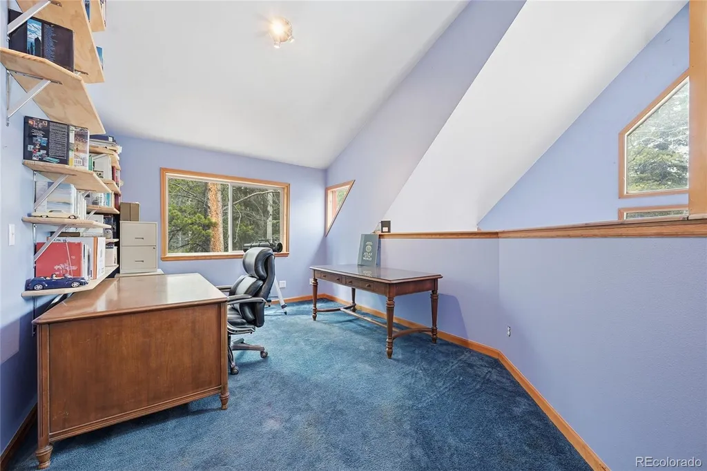 1419 Little Bear Creek Road Idaho Springs CO 80452