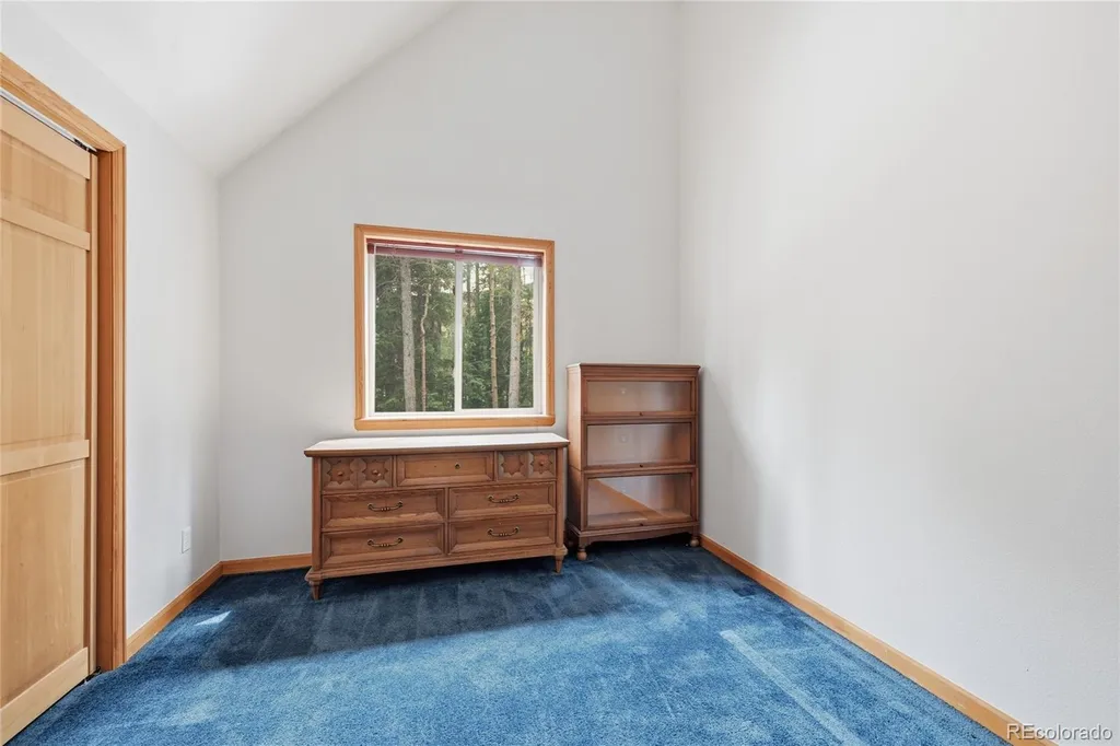 1419 Little Bear Creek Road Idaho Springs CO 80452