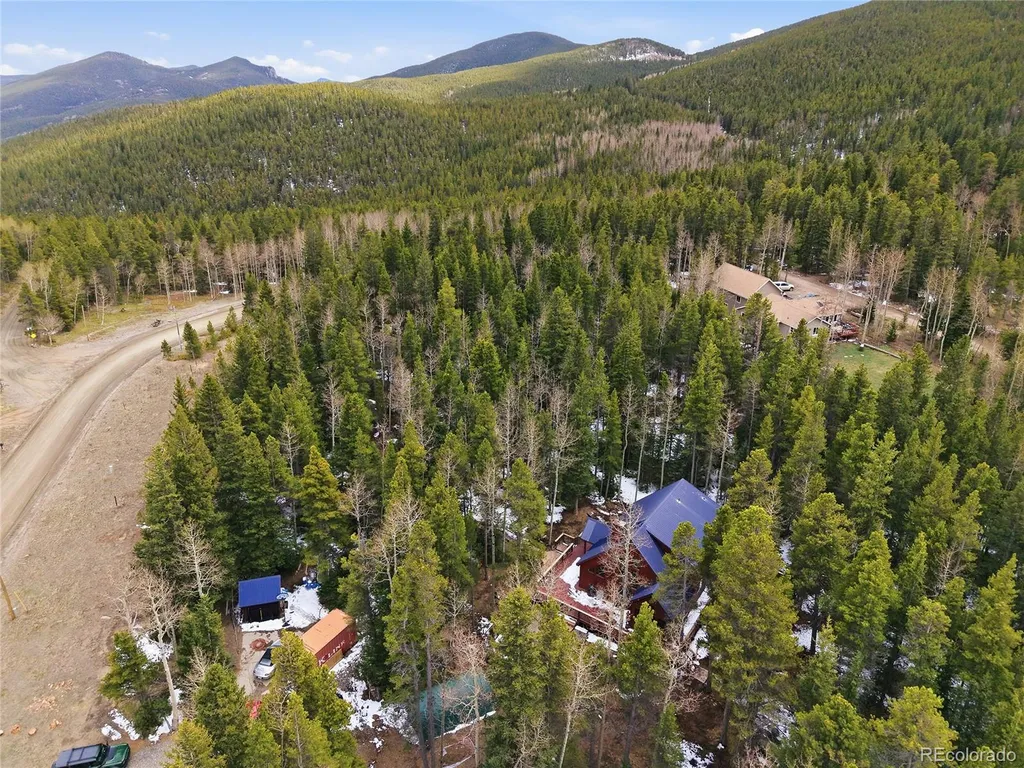 1419 Little Bear Creek Road Idaho Springs CO 80452