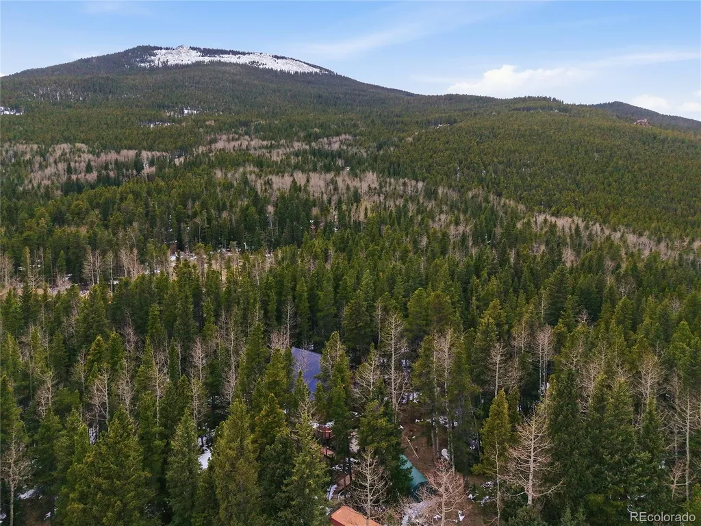 1419 Little Bear Creek Road Idaho Springs CO 80452