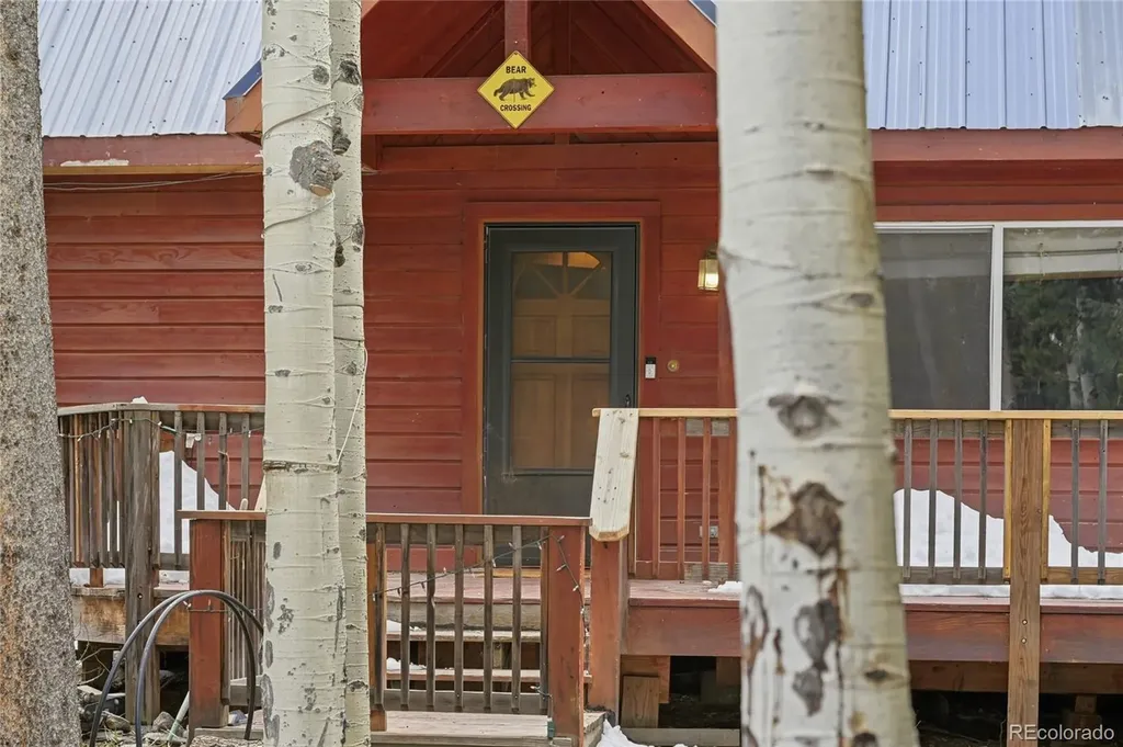 1419 Little Bear Creek Road Idaho Springs CO 80452