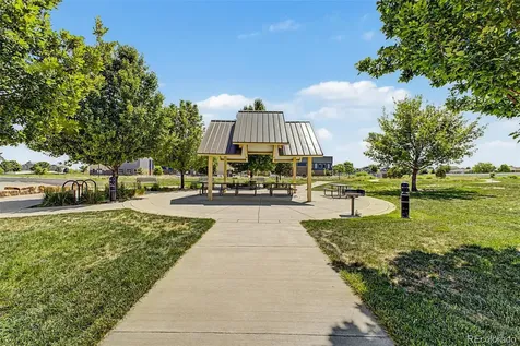 652 Sundance Drive Windsor CO 80550