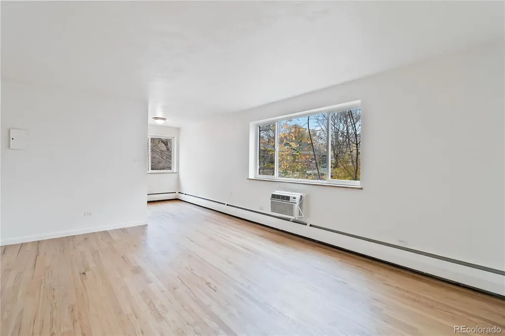 1056 Marion Street Denver CO 80218