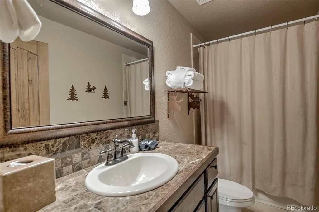 790 Mountain View Drive Fairplay CO 80440