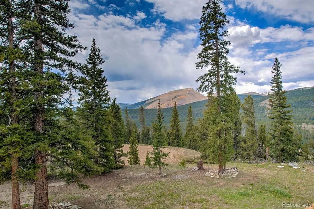790 Mountain View Drive Fairplay CO 80440
