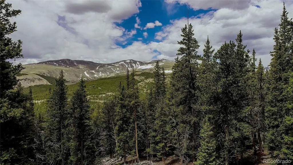 790 Mountain View Drive Fairplay CO 80440