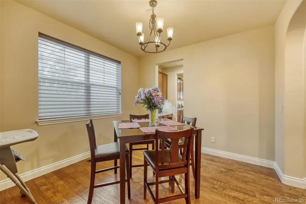 4237 Manorbrier Court Castle Rock CO 80104