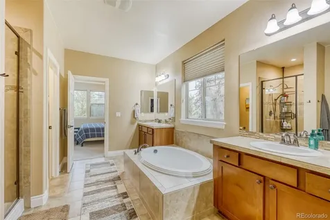 4237 Manorbrier Court Castle Rock CO 80104
