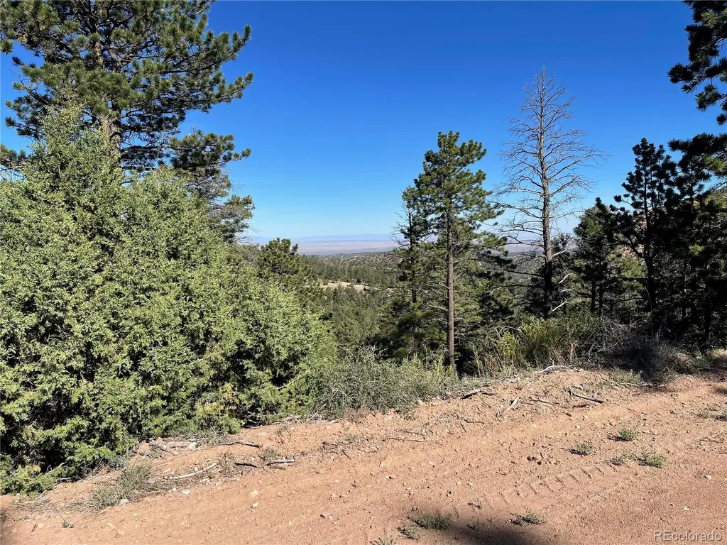 6168 Hoadley Road Fort Garland CO 81133