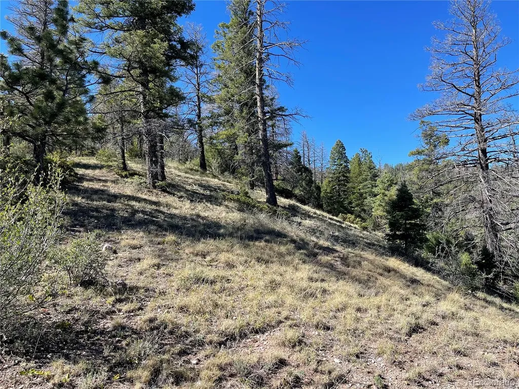 6168 Hoadley Road Fort Garland CO 81133