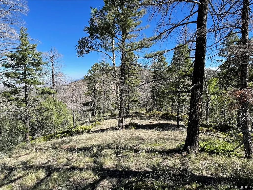 6168 Hoadley Road Fort Garland CO 81133