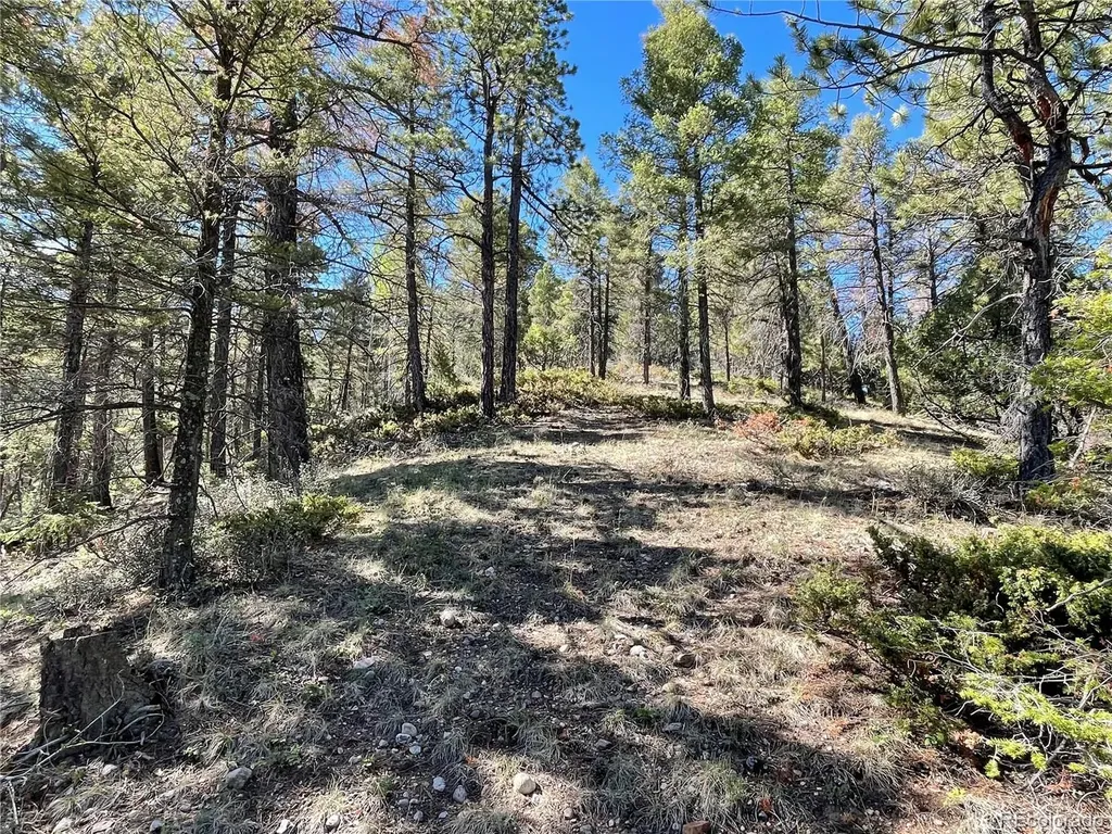 6168 Hoadley Road Fort Garland CO 81133