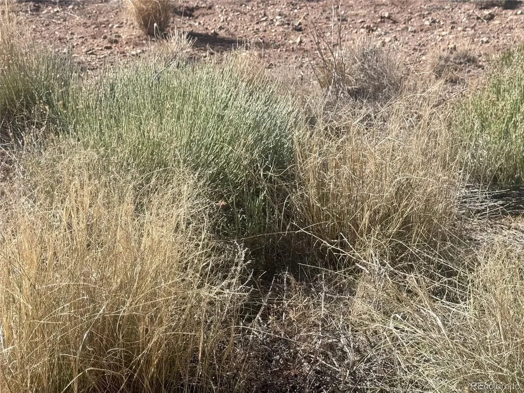 Lot 6 Ll 8th Street Blanca CO 81123