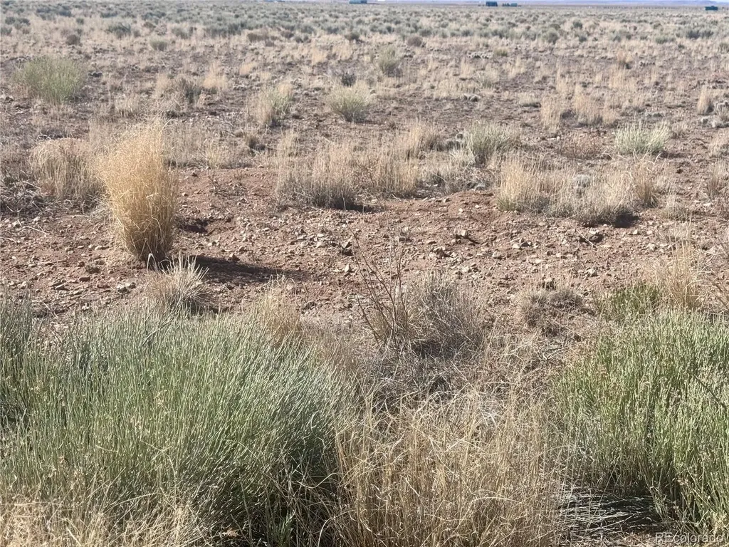 Lot 6 Ll 8th Street Blanca CO 81123