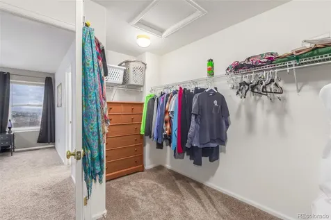 6193 Brantly Avenue Castle Rock CO 80104