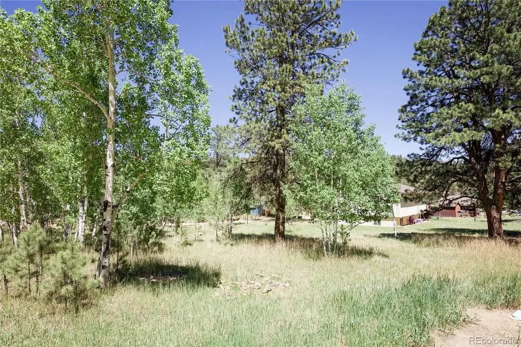 126 Sullivan Street Bailey CO 80421