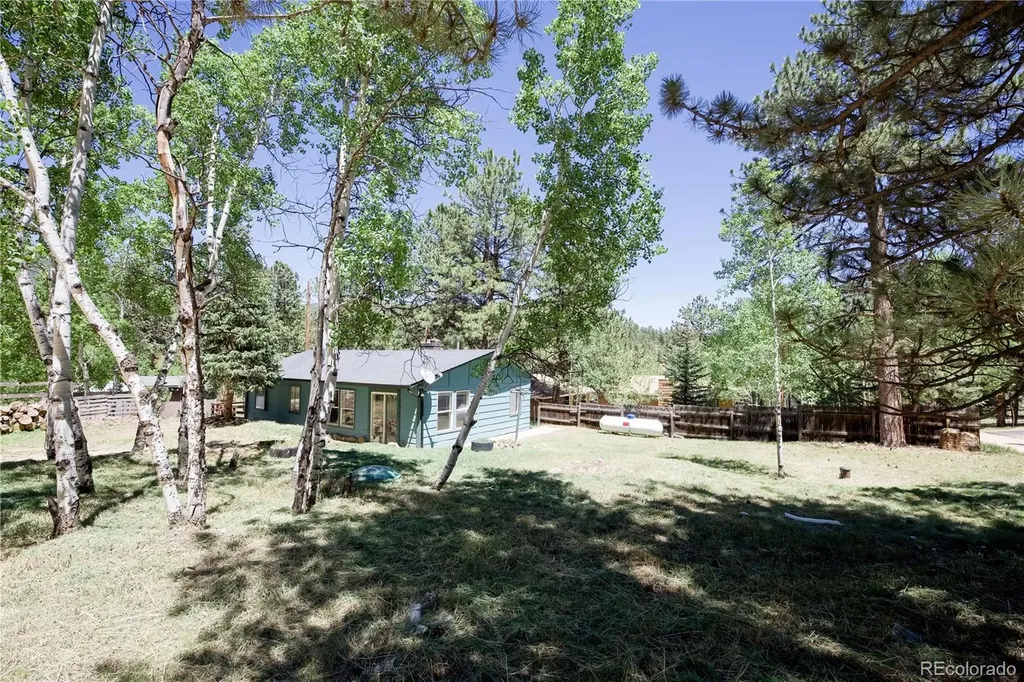 126 Sullivan Street Bailey CO 80421