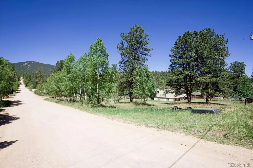 126 Sullivan Street Bailey CO 80421