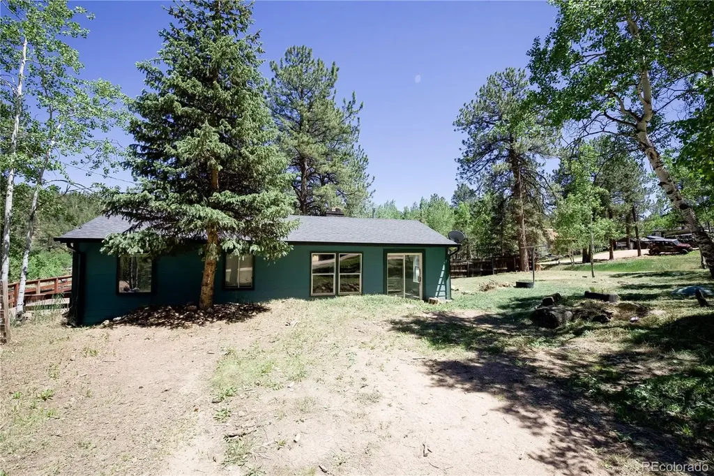 126 Sullivan Street Bailey CO 80421