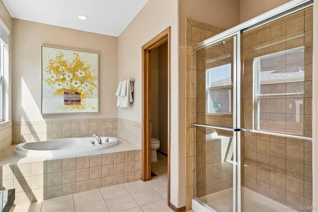 915 Tarpan Place Castle Rock CO 80104