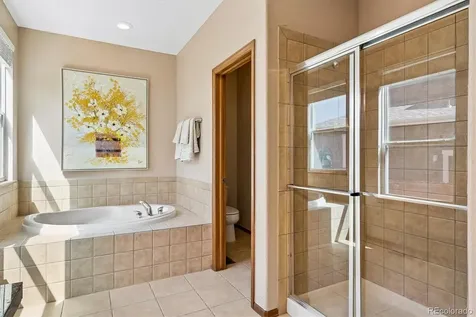 915 Tarpan Place Castle Rock CO 80104