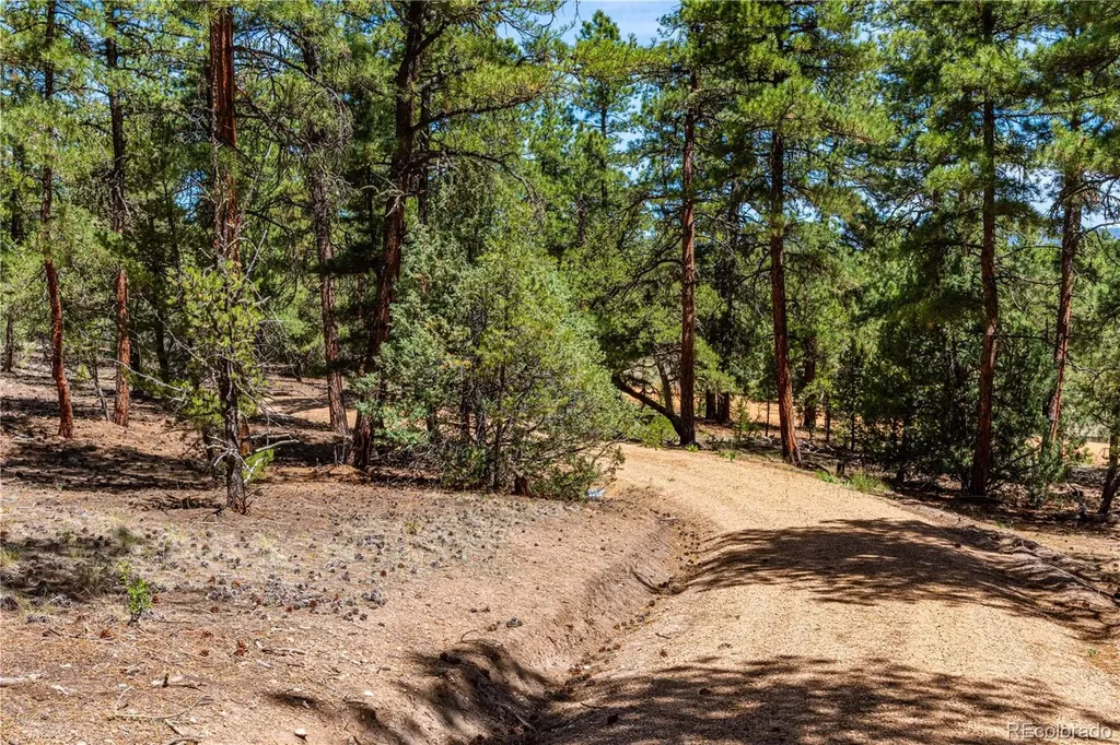 2417 Indian Wells Road Cotopaxi CO 81223