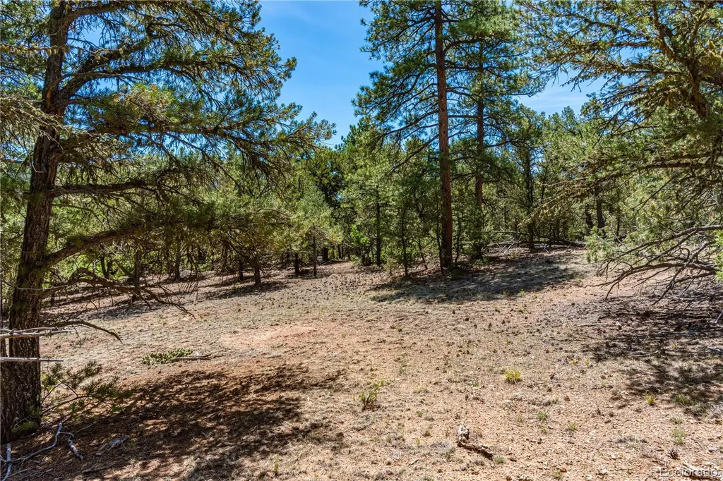 2417 Indian Wells Road Cotopaxi CO 81223