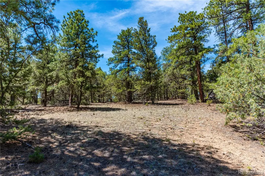 2417 Indian Wells Road Cotopaxi CO 81223