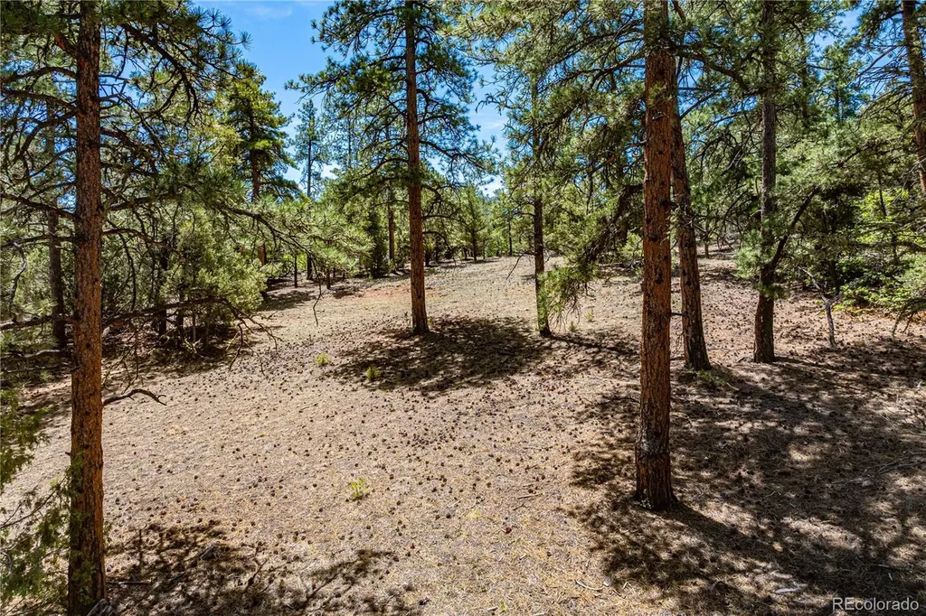 2417 Indian Wells Road Cotopaxi CO 81223