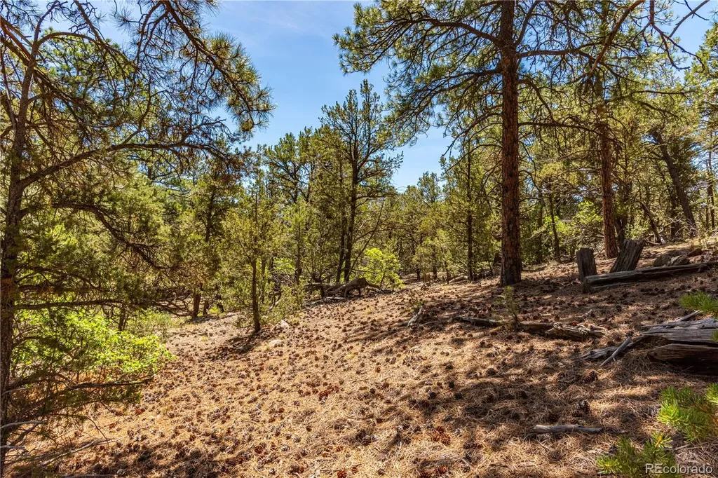 2417 Indian Wells Road Cotopaxi CO 81223
