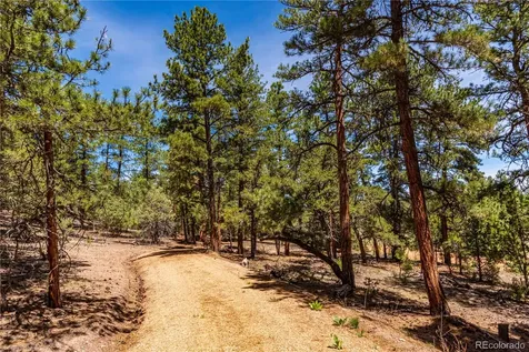 2417 Indian Wells Road Cotopaxi CO 81223