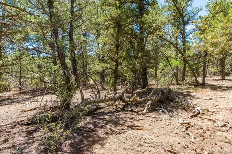 2417 Indian Wells Road Cotopaxi CO 81223